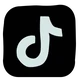 TikTok Downloader